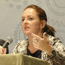 Especialista em Direito do Trabalho, Organizações da Sociedade Civil e Diretora de Parcerias com Oscips