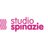 Studio Spinazie