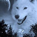 Steven nowicki - @steven_nowicki - Twitter