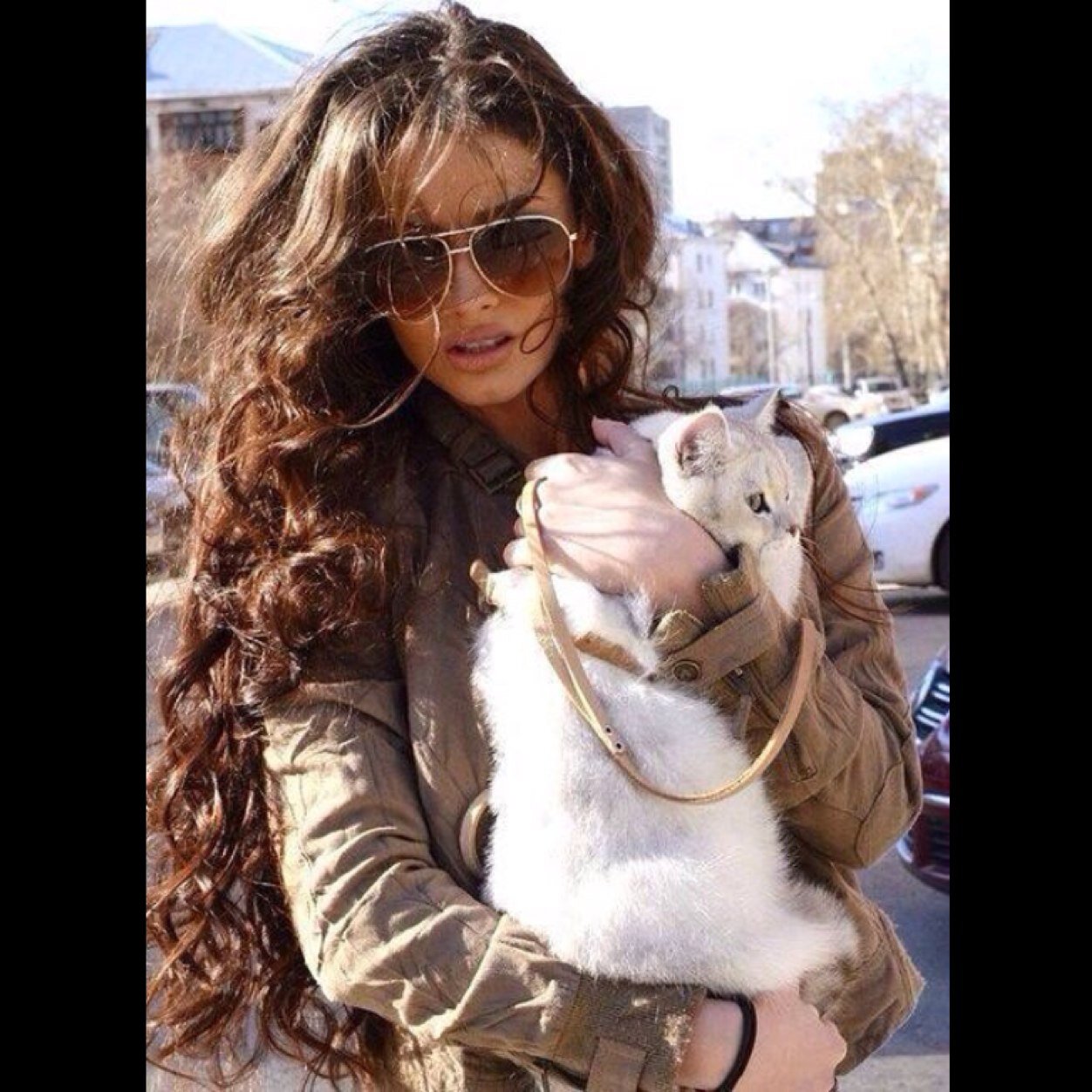 veralaer's profile picture. 