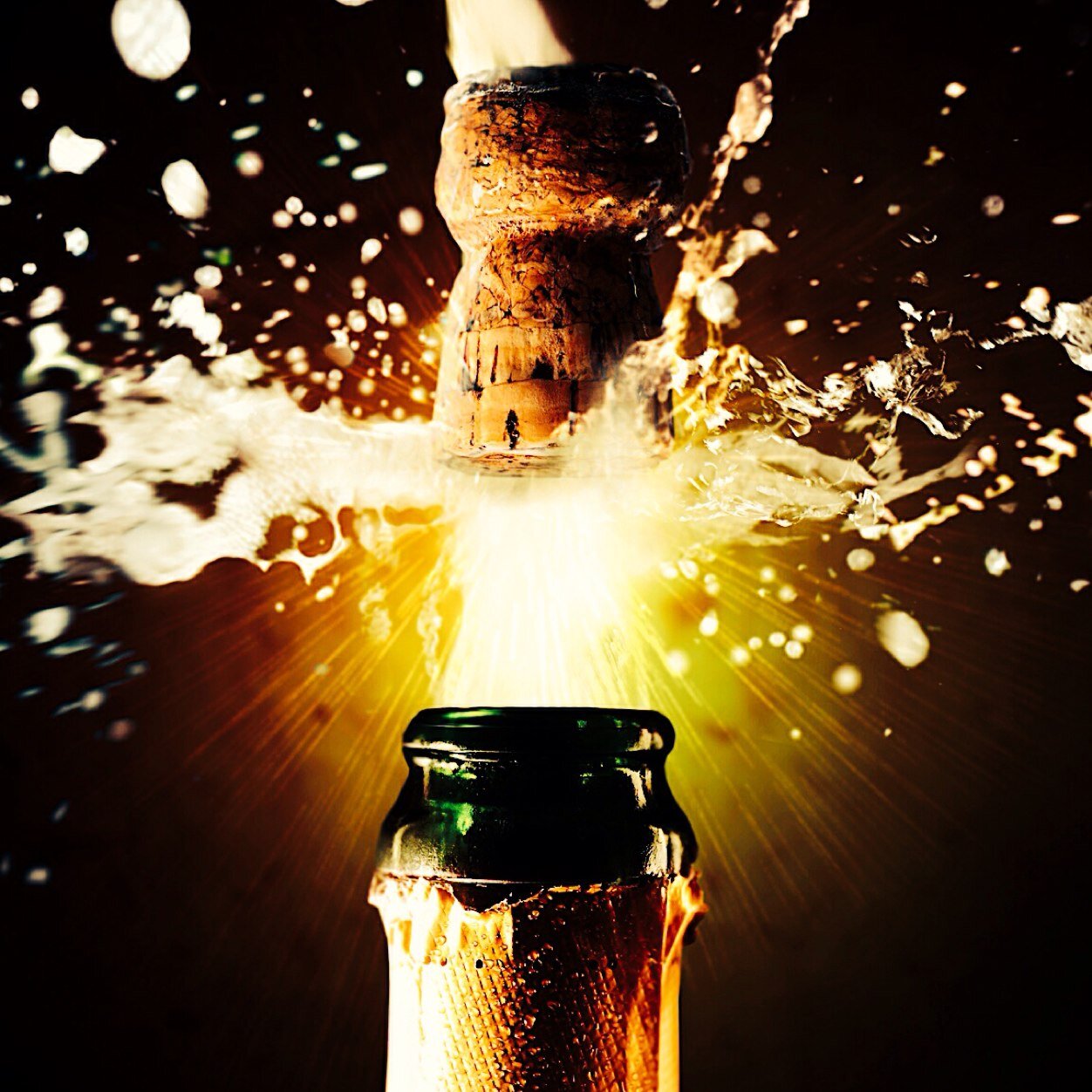 wildsunnys's profile picture. 