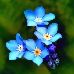 FibroDee's profile picture. on december 19th, 2013 i was diagnosed with #fibromyalgia. thus begins my journey.