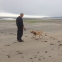 Bev Gray - @bevlyndagray - Twitter