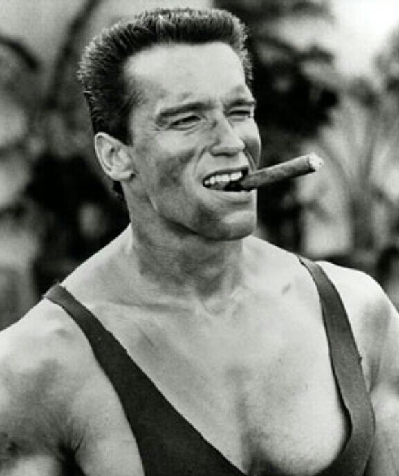 GetSwoleFitness's profile picture. 