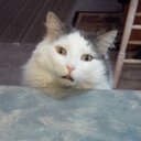 Sandra Rydall - @csrydall - Twitter