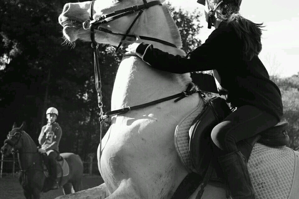 vivi siempre / #mi vida la muralla #LUNA MI NIÑA SIEMPRE #HORSEBALL ///BEADE