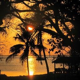 meemas47's profile picture. 