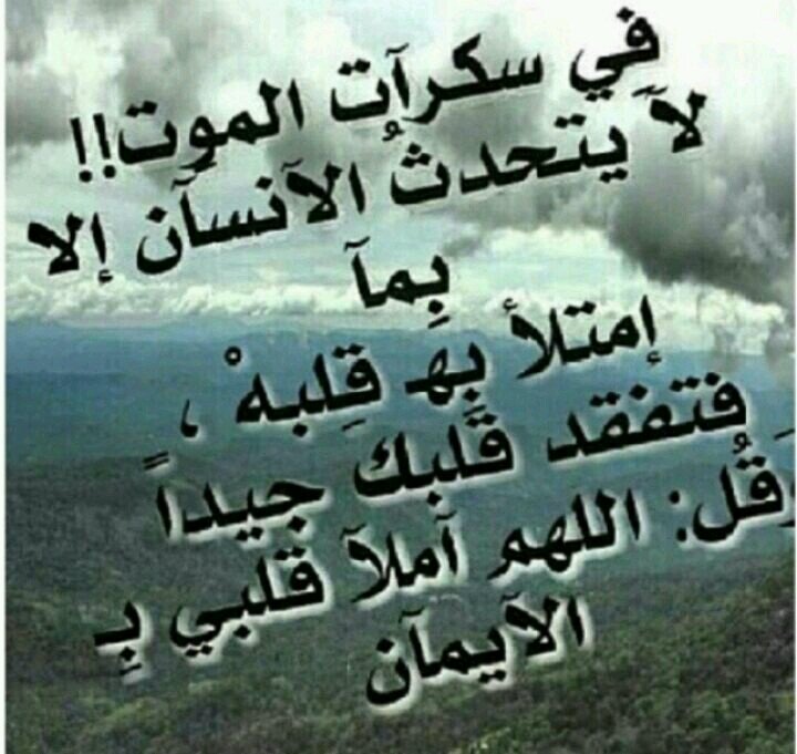 احب اشوف واسمع الزبدة
