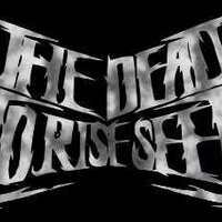The Dead To RiseSeep (@tdtrs_dc) 's Twitter Profile