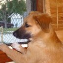 John Forzetting - @JGFBooks - Twitter