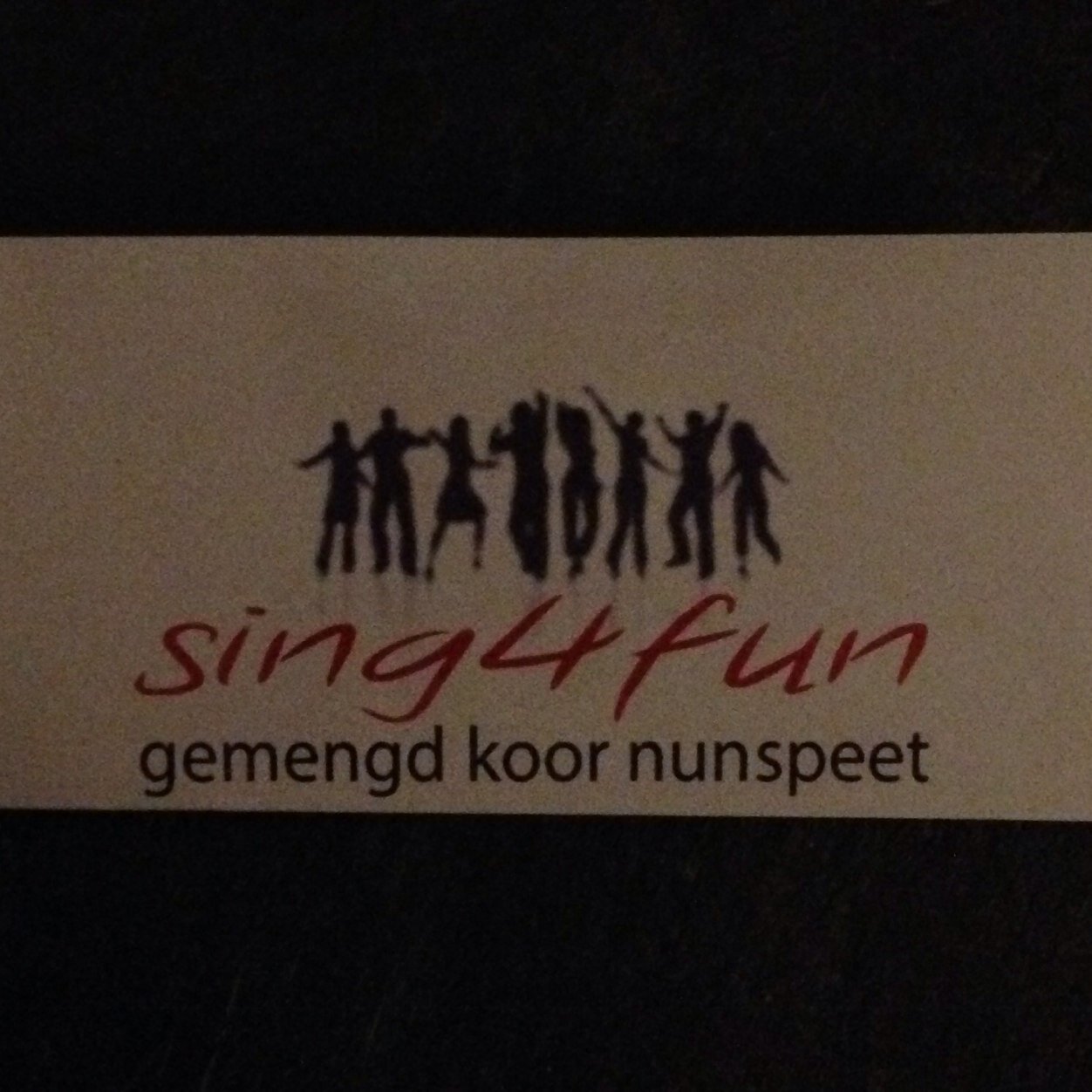 Wij zijn een gemengd zangkoor uit Nunspeet. Wij zingen een mix van allerlei genres zoals pop, musical, folk en ballards.