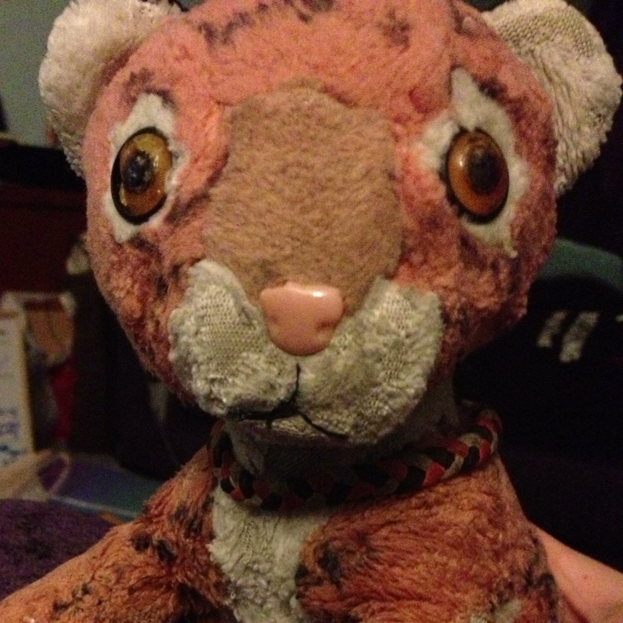 I'm just a little tiger cub, with wonky eyes and patches, called Maw.
Hello, and welcome to my world…