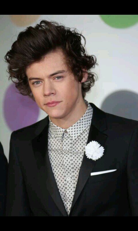 Harry_false_'s profile picture. Harry here, 19 bi