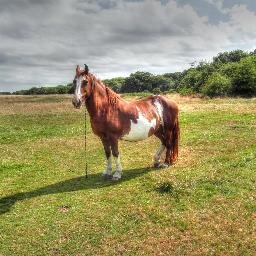 Official Twiiter Account of the Latton Common Residents Association.