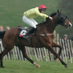 The Cotley Point to Point is an outstanding annual steeplechase #horse #race. The 2020 meeting will be held on Sunday 29th March 2020.