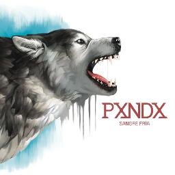 fan de pxndx
