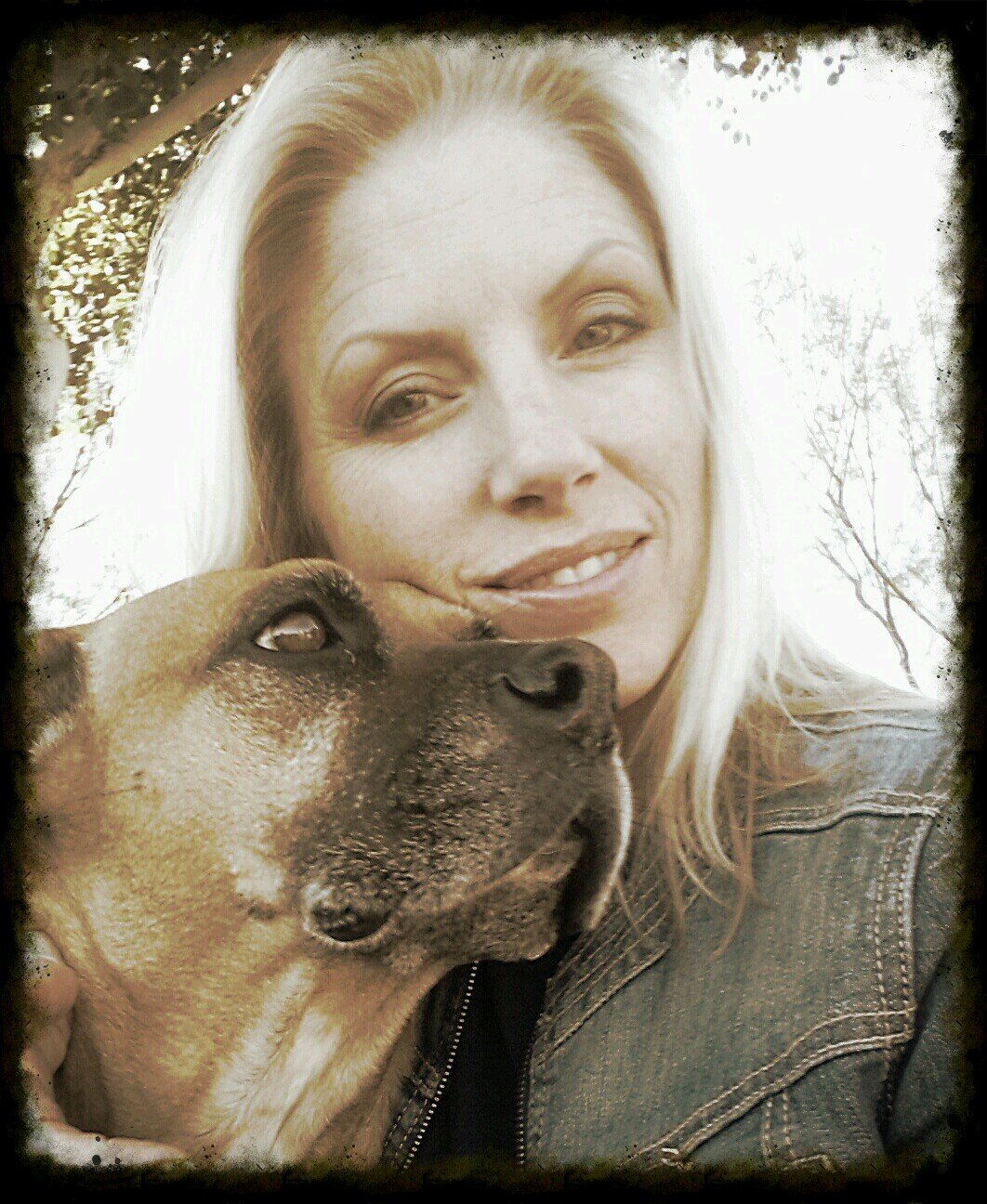 22+ yr veteran, Dog Rescuer... 3 dogs in my house is not overwhelming to me, until I want quiet time.