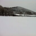 Tim barber - @Timbarber8 - Twitter