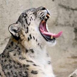 lahcne44's profile picture. متقاعد, متزوج ’اعمل اعمال حرة