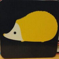 Katie Freeman (@foxyhedgehog) 's Twitter Profile