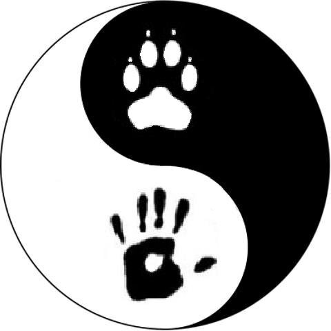 Paws It On is where people from all over can post or read about animals in need. Just remember to paws it on, please!