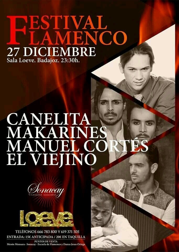 Entradas para conciertos 685025354
