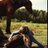 alnory912's profile image