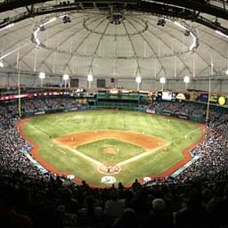 BayBallSports's profile picture. Tampa Bay Sports Blog:
Rays, Bucs, and Bolts