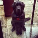 Simon Street - @sjlstreet - Twitter