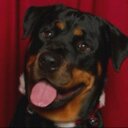 wayne mackey - @wayne_mackey - Twitter