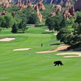 KayMsm101's profile picture. 