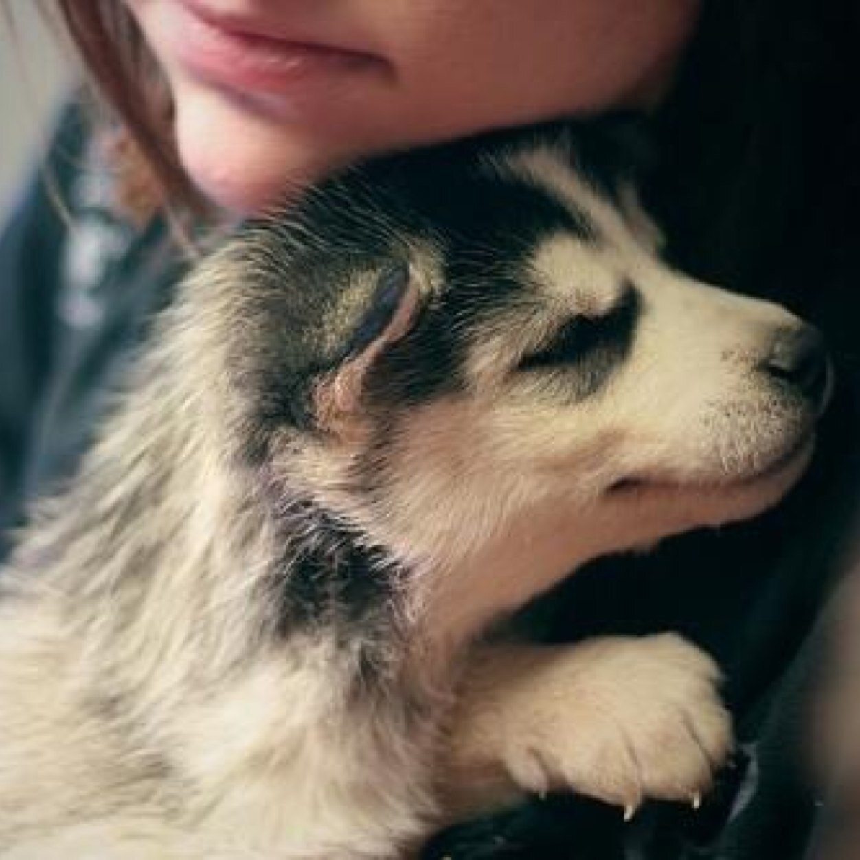 1_dnial's profile picture. :)