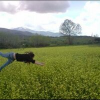 Easy to be happy :) (@sandratxenso) 's Twitter Profile