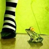 Anfibiadas (@anfibiadas) 's Twitter Profile