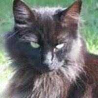 Blackcreek (@blackofbc) 's Twitter Profile Photo