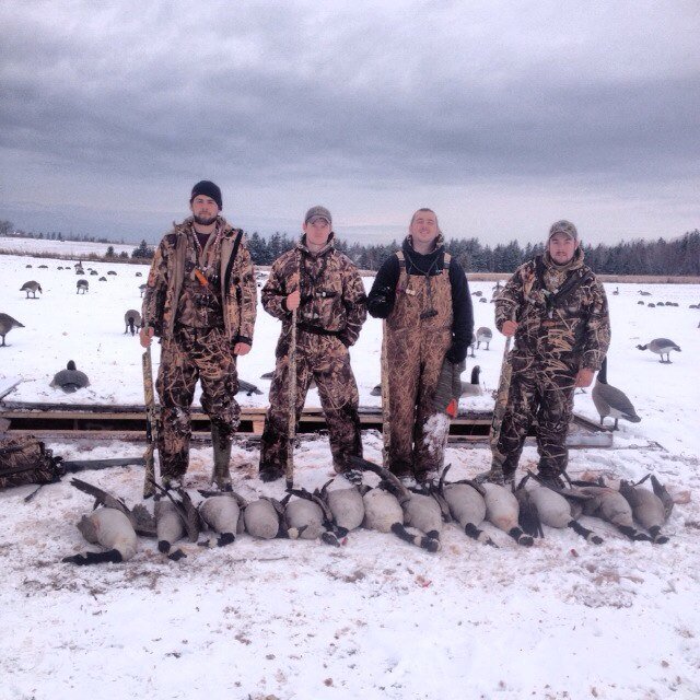 tealinurpants's profile picture. 