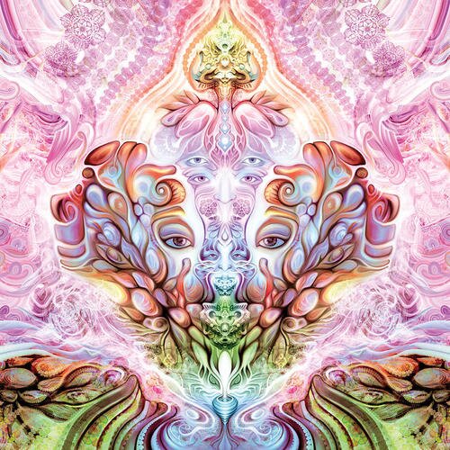 lightwerka's profile picture. 