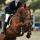 Alex McDonough - @AlexMcDonough2 - Twitter