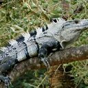 leonel rivera - @leonelrivera7 - Twitter