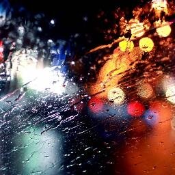 nexyifoxmailcom's profile picture. 