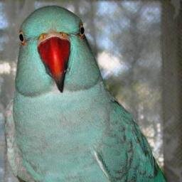 SoulsMidnite Profile Picture