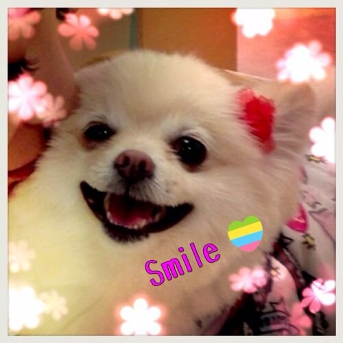 氷室京介♡♡
KimJaeuck♡♡
NormanReedus♡♡
FTISLAND♡♡
THE ROSE♡♡

한국어를 공부중!
基本鍵ついてます……