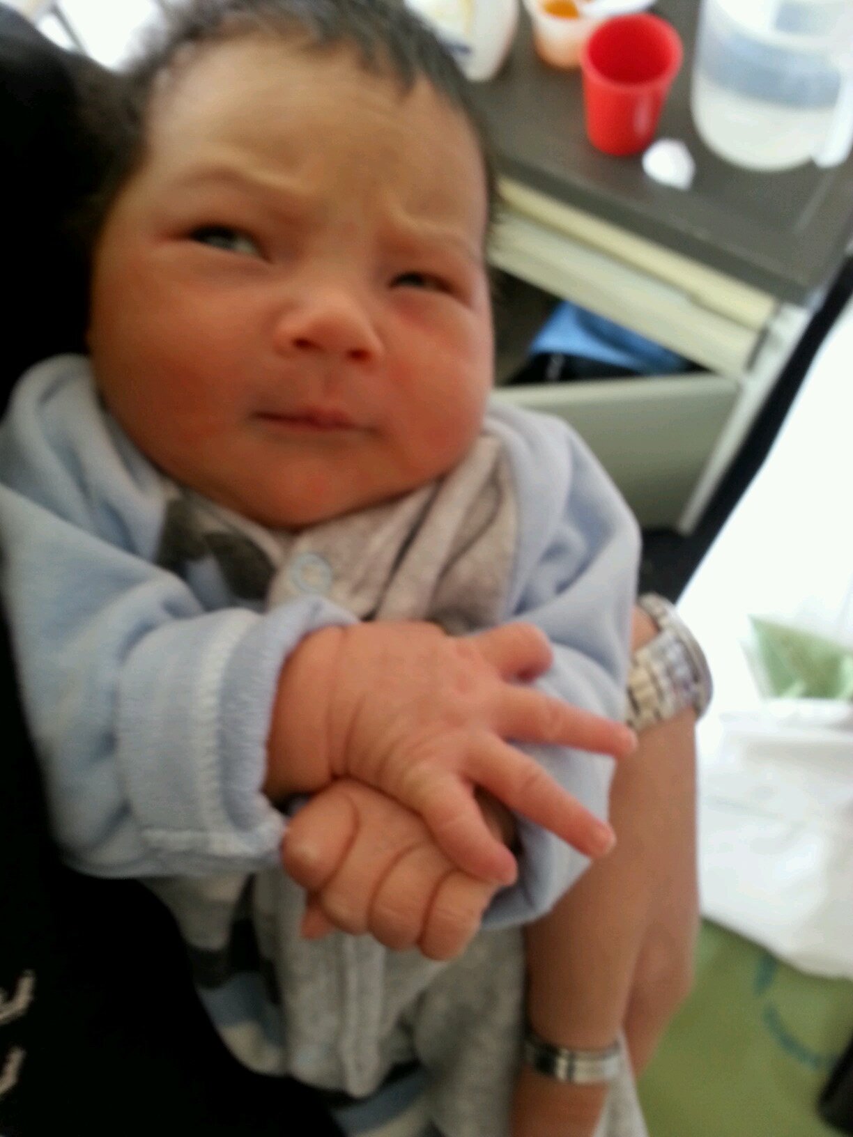 shofoli's profile picture. Ya nací y tengo twitter. Mi mamá no sabe :p