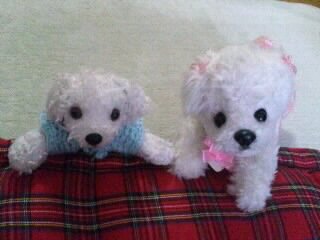 ゆるキャラ💖　ゆるキャラの歌人🎤　かわいい物🥰　パンダ·動物達🐼🐕　　　大好きです💖🥰🐼　　
　　　　　　　　　　　GLAY★ジャニーズ💎が好きすぎてアカウントを別に作りました　　　　たろっぴ💚です　　　　　　　　　どちらも　　　　よろしくおネギしまぁす_(._.)_