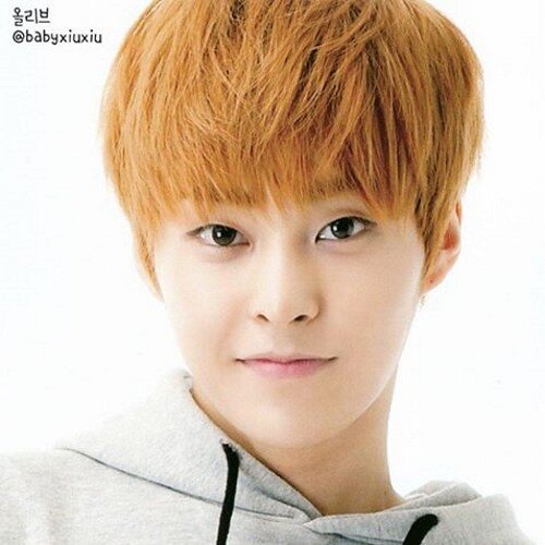 ฉันเป็นเพียงแฟนคลับคนหนึ่งที่รัก exo และก็จะยังคงรักอย่างนี้ตลอดไป