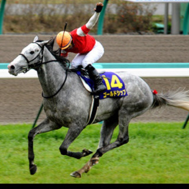 エロと競馬👼 新宿WINSで叫んだ後歌舞伎町います