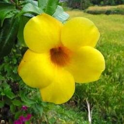 mon_20115's profile picture. 