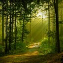 Derrick Chin - @JASON22705425 - Twitter