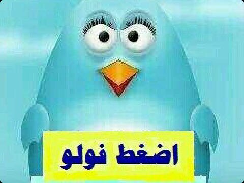 Presss_follow's profile picture. 