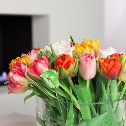 Fresh Tulips USA is one of the largest tulip growers on the East Coast.